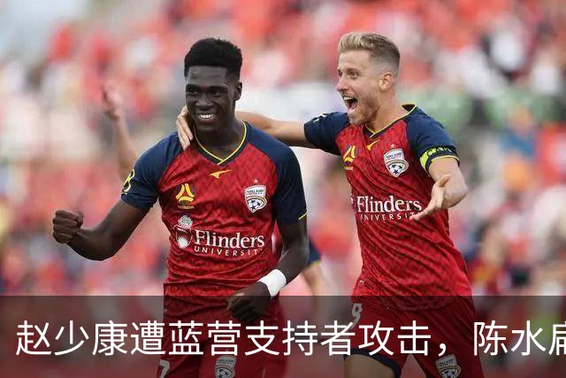 赵少康遭蓝营支持者攻击，陈水扁的反应及沈伯洋的策略